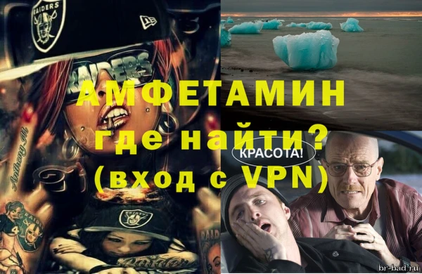 стафф Надым