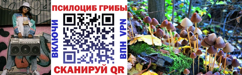 Псилоцибиновые грибы GOLDEN TEACHER  купить закладку  МЕГА ТОР  Ханты-Мансийск 